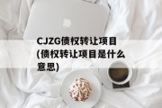 CJZG债权转让项目(债权转让项目是什么意思)