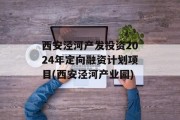 西安泾河产发投资2024年定向融资计划项目(西安泾河产业园)