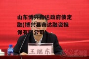 山东博兴鑫达政府债定融(博兴县鑫达融资担保有限公司)