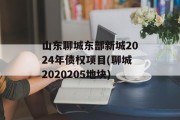 山东聊城东部新城2024年债权项目(聊城2020205地块)