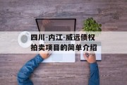 四川-内江-威远债权拍卖项目的简单介绍