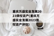 重庆万盛实业发展2023债权资产(重庆万盛实业发展2023债权资产评估)