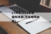 LY河东2024年收益权项目(河东地块拍卖)