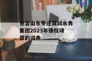 包含山东枣庄晟润水务集团2023年债权项目的词条