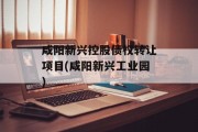 咸阳新兴控股债权转让项目(咸阳新兴工业园)