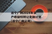 遂宁广利2024年资产收益权转让定融计划(遂宁广利公司)