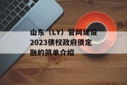 山东（LY）管网建设2023债权政府债定融的简单介绍