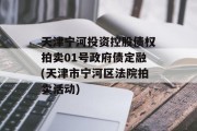 天津宁河投资控股债权拍卖01号政府债定融(天津市宁河区法院拍卖活动)