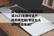 山东枣庄台儿庄财金投资2023年债权资产政府债定融(枣庄台儿庄财政局局长)