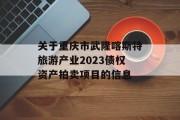 关于重庆市武隆喀斯特旅游产业2023债权资产拍卖项目的信息