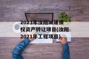 2023年汝阳城建债权资产转让项目(汝阳2021年工程项目)