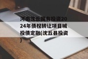 河南沈丘国有投资2024年债权转让项目城投债定融(沈丘县投资)