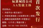 包含2022聊城民安定向融资计划（第1期）的词条