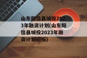 山东阳信县城投2023年融资计划(山东阳信县城投2023年融资计划招标)