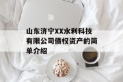 山东济宁XX水利科技有限公司债权资产的简单介绍
