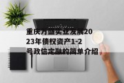 重庆万盛实业发展2023年债权资产1-2号政信定融的简单介绍