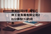 包含红码9号-遂宁广利工业发展有限公司2022债权(5)的词条