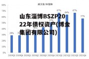 山东淄博BSZP2022年债权资产(博金集团有限公司)