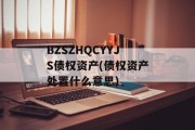 BZSZHQCYYJS债权资产(债权资产处置什么意思)