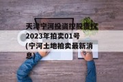 天津宁河投资控股债权2023年拍卖01号(宁河土地拍卖最新消息)