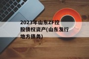 2023年山东ZF控股债权资产(山东发行地方债务)