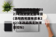 洛阳西苑国有资本2023年政府债定融项目(洛阳西苑国有资本2023年政府债定融项目招标)