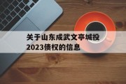 关于山东成武文亭城投2023债权的信息