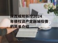 陕西咸阳新控2024年债权资产定融城投债的简单介绍