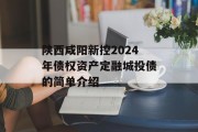 陕西咸阳新控2024年债权资产定融城投债的简单介绍