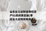 山东台儿庄财金债权资产01政府债定融(枣庄台儿庄财政局局长)