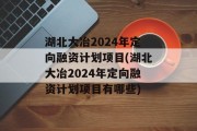 湖北大冶2024年定向融资计划项目(湖北大冶2024年定向融资计划项目有哪些)