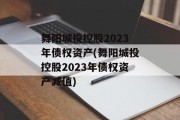 舞阳城投控股2023年债权资产(舞阳城投控股2023年债权资产减值)
