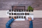 关于山东临沂沂南县城市发展2024年债权转让项目的信息