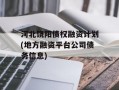 河北饶阳债权融资计划(地方融资平台公司债务信息)