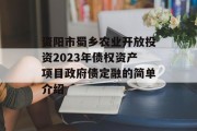 资阳市蜀乡农业开放投资2023年债权资产项目政府债定融的简单介绍