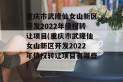 重庆市武隆仙女山新区开发2022年债权转让项目(重庆市武隆仙女山新区开发2022年债权转让项目有哪些)