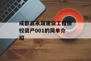 成都鑫永晟建设工程债权资产001的简单介绍