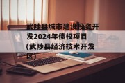 武陟县城市建设投资开发2024年债权项目(武陟县经济技术开发区)