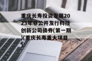 重庆长寿投资发展2023年非公开发行科技创新公司债券(第一期)(重庆长寿重大项目)