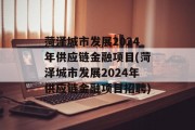 菏泽城市发展2024年供应链金融项目(菏泽城市发展2024年供应链金融项目招聘)