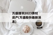 万盛捷羽2023债权资产(万盛股份最新消息)