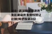 湖北·武汉阳逻经济开发区建设开发债权转让计划(阳逻投资2021)