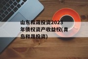 山东和晟投资2023年债权资产收益权(青岛和晟投资)