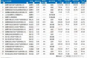 2022年潍坊高新城投债权政府平台债(潍坊城投融资)