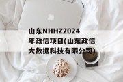 山东NHHZ2024年政信项目(山东政信大数据科技有限公司)