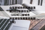 山东邹城市利民建设发展2023年债权资产（2024）(邹城市利民建设发展集团有限公司)