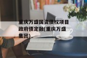 重庆万盛国资债权项目政府债定融(重庆万盛集团)