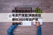 陕西政信债权2023年资产项目(陕西政信债权2023年资产项目招标)