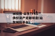 城投债-山东TFKG债权资产定融项目(山东城投平台)