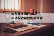 山东枣庄物环2024年债权收益权的简单介绍